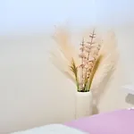 Sophie *